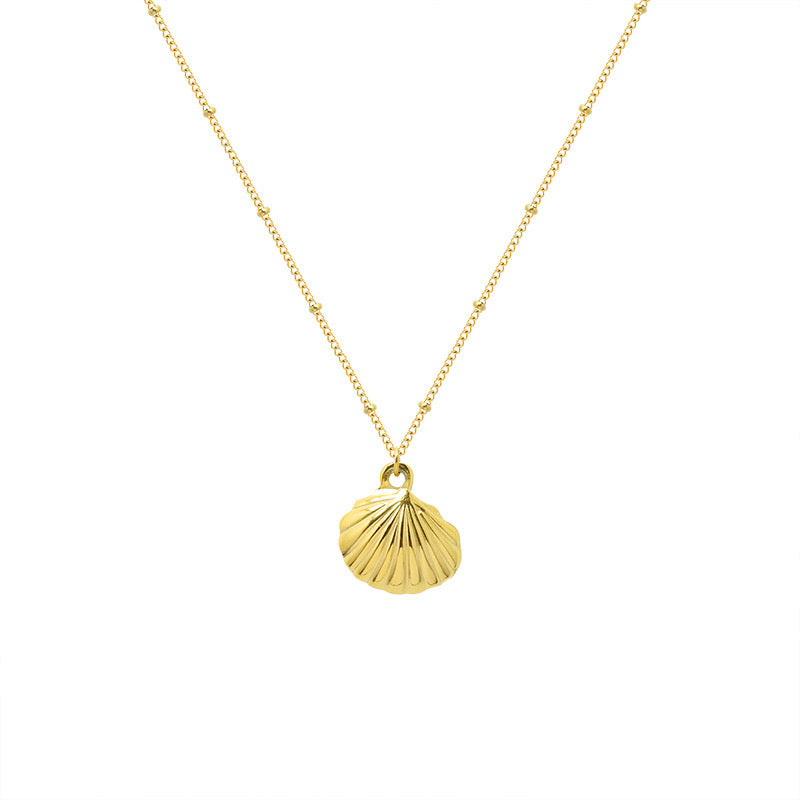 Shell Necklace